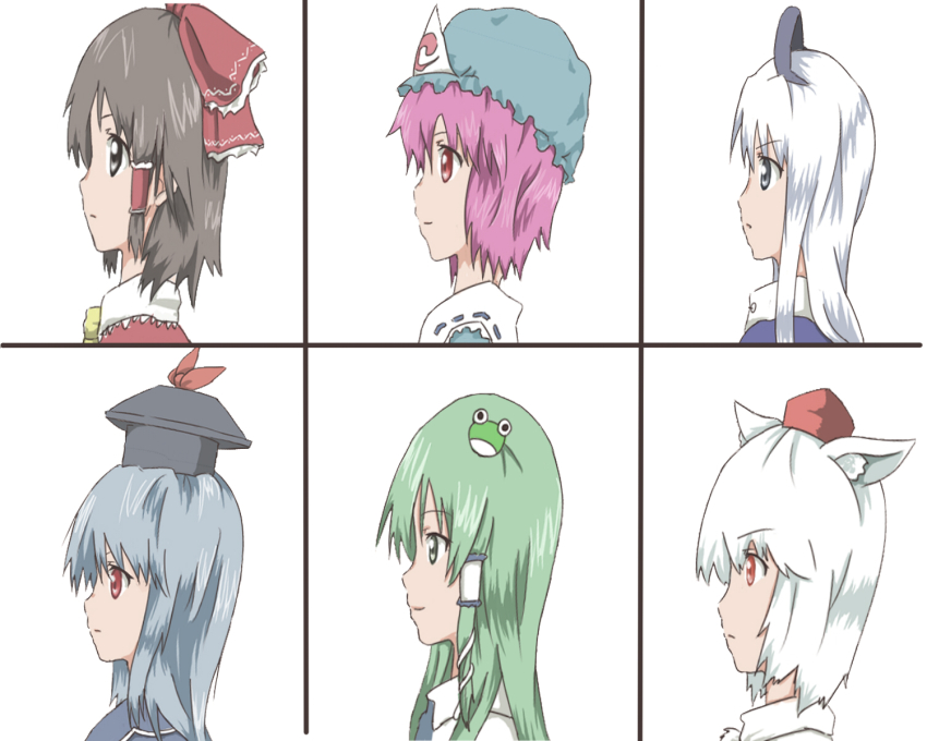6+girls, animal_ears, bad_id, bad_pixiv_id, blue_hair, bow, brown_hair, female_focus, frog_hair_ornament, green_eyes, green_hair, grey_eyes, group_picture, group_profile, hair_bow, hair_ornament, hair_tubes, hakurei_reimu, hat, highres, inubashiri_momiji, kamishirasawa_keine, kochiya_sanae, lineup, long_hair, multiple_girls, pink_hair, profile, red_eyes, saigyouji_yuyuko, shirataki, shirotaki, short_hair, smile, snake_hair_ornament, tokin_hat, touhou, triangular_headpiece, white_hair, wolf_ears, yagokoro_eirin