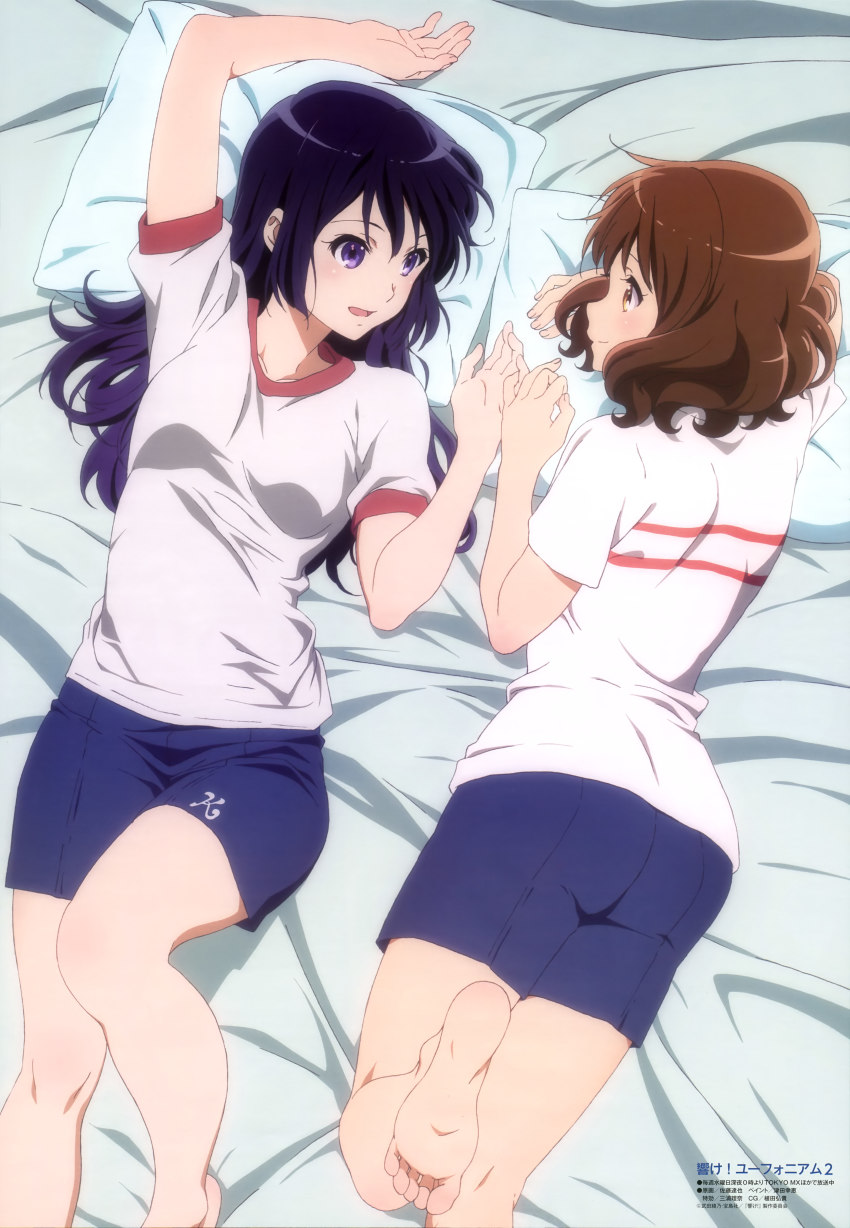 10s, 2girls, absurdres, barefoot, brown_eyes, brown_hair, feet, gym_shorts, gym_uniform, hibike!_euphonium, highres, kousaka_reina, long_hair, lying, multiple_girls, official_art, on_back, on_side, open_mouth, oumae_kumiko, pillow, pinky_swear, profile, purple_eyes, purple_hair, satou_tatsuya, scan, short_hair, shorts, smile, soles, toes, yuri