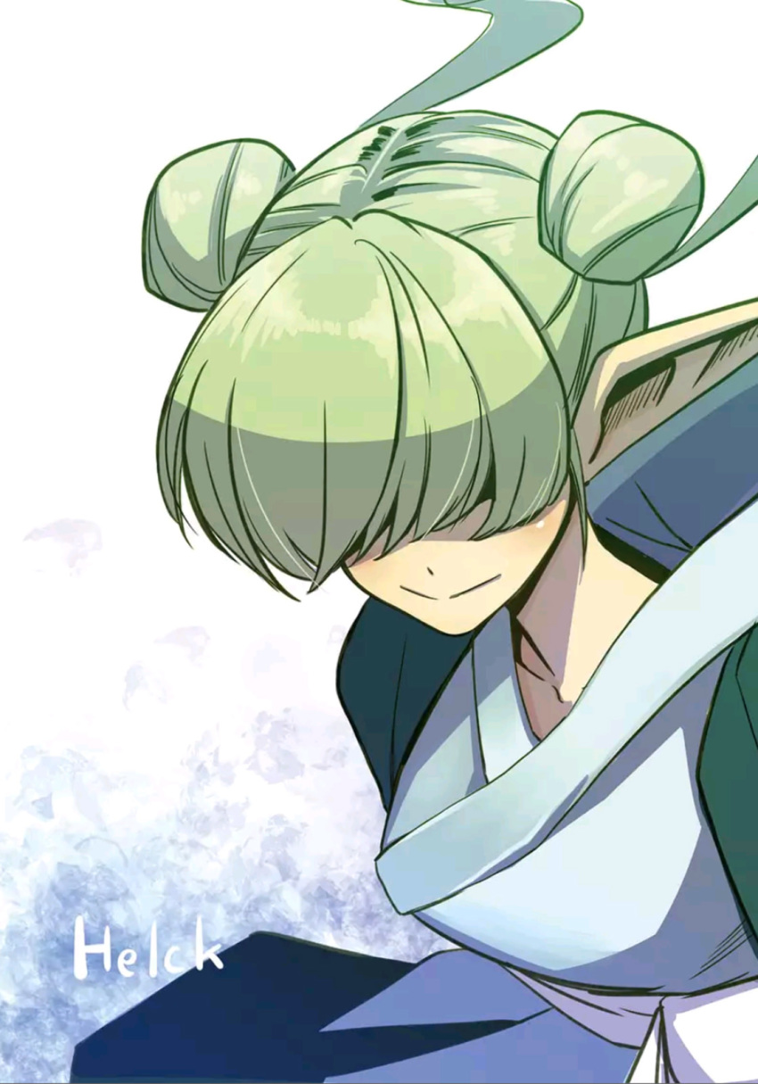 1girl, covered_eyes, double_bun, female_focus, green_hair, hair_bun, hair_over_eyes, helck
