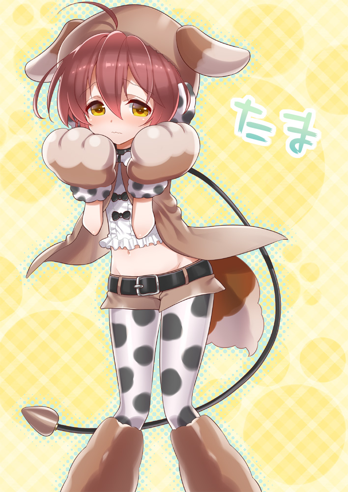 10s, 1girl, ahoge, animal_costume, animal_hands, belt, blush, brown_eyes