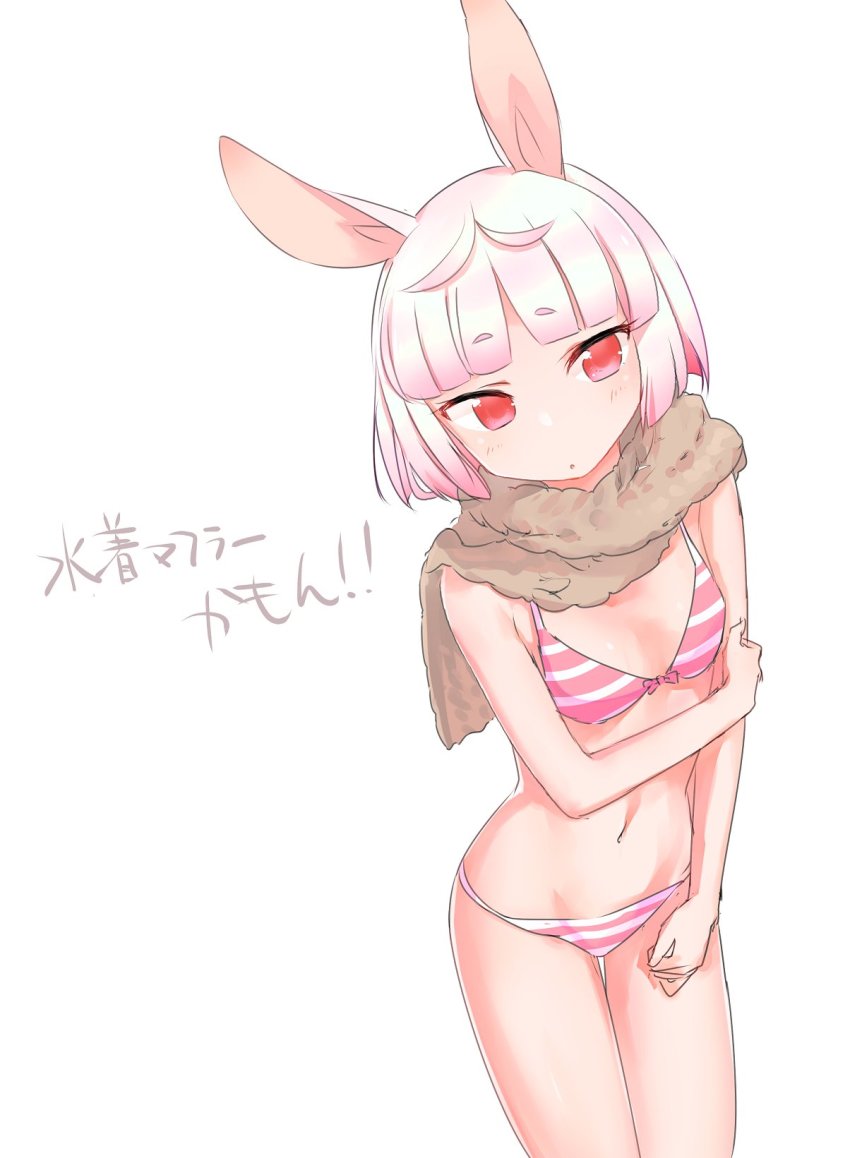 1girl, animal_ears, bikini, blush, eyebrows, female_focus, flat_chest, gradient_hair