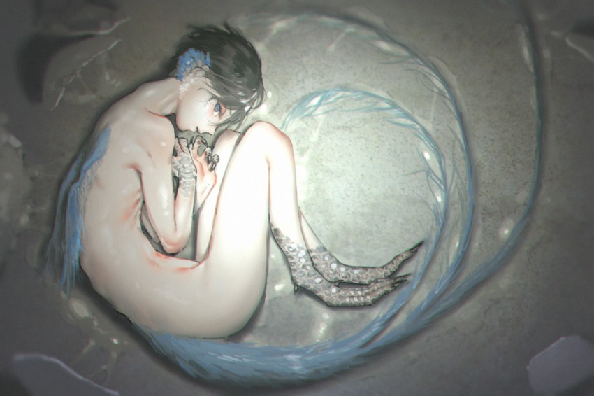 10s, 1boy, animal_ears, bird_legs, bird_tail, black_hair, black_nails, blue_eyes