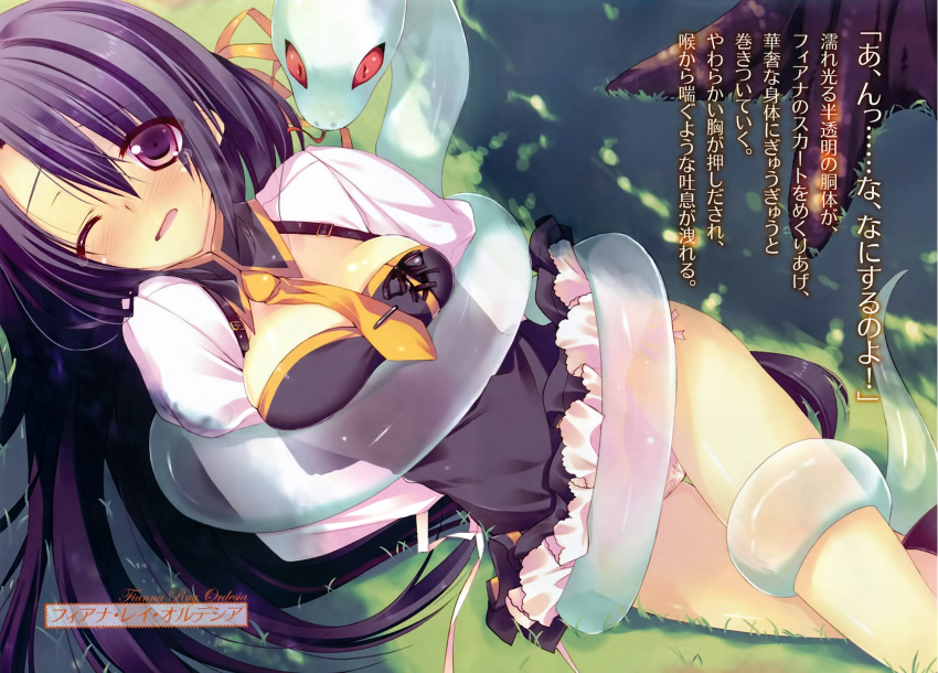 10s, 1girl, arms_behind_back, black_hair, breasts, coiled, female_focus, fianna_ray_ordesia