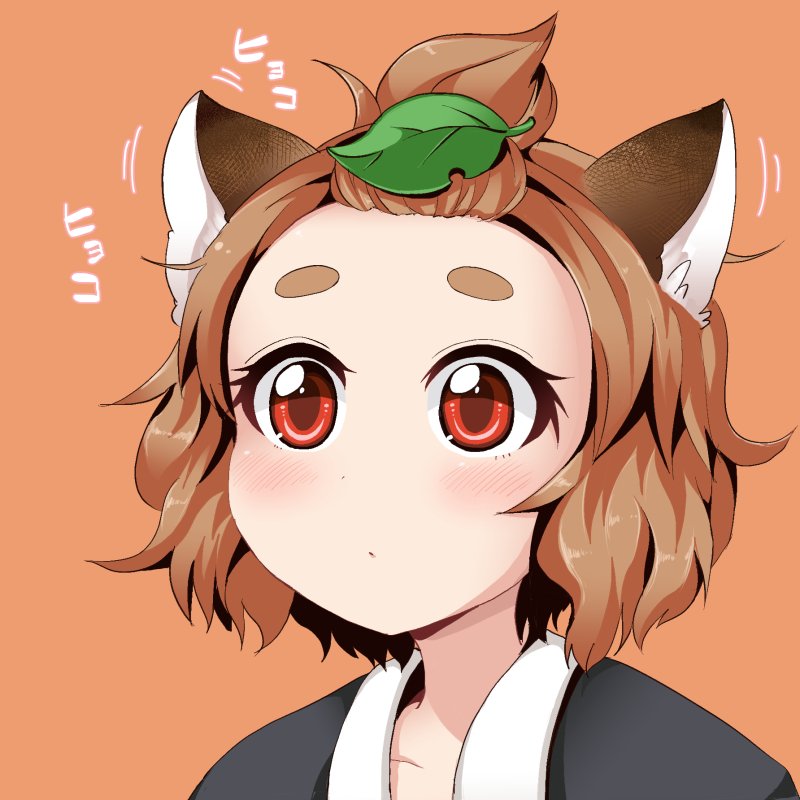 1girl, animal_ears, brown_hair, extra, genshi_shin'ichi, leaf, leaf_on_head, raccoon_ears