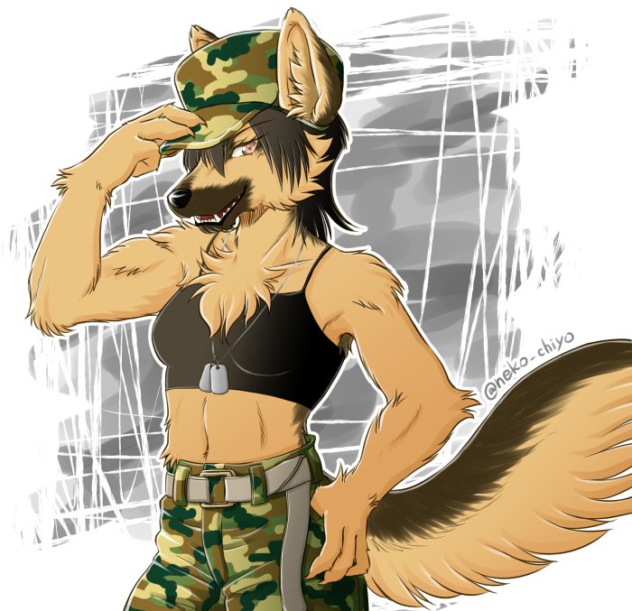 artist_request, brown_eyes, dog, furry, hat, military_hat, military_outfit, open_mouth