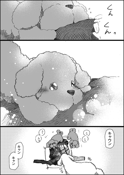 10s, comic, dog, gaze_(thompon), greyscale, makkachin, monochrome, no_humans