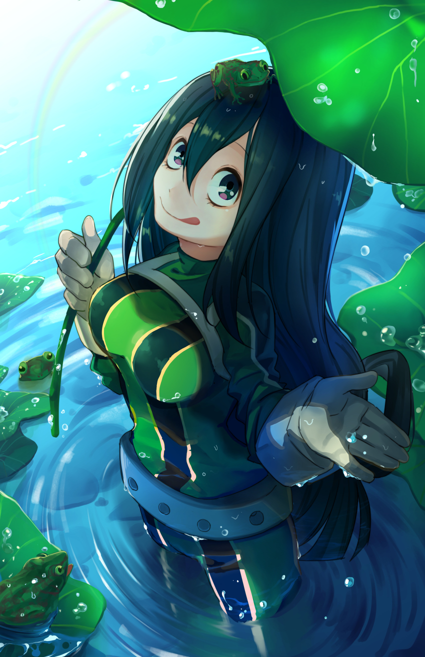 10s, 1girl, :q, absurdres, animal, animal_on_head, artist_request, asui_tsuyu