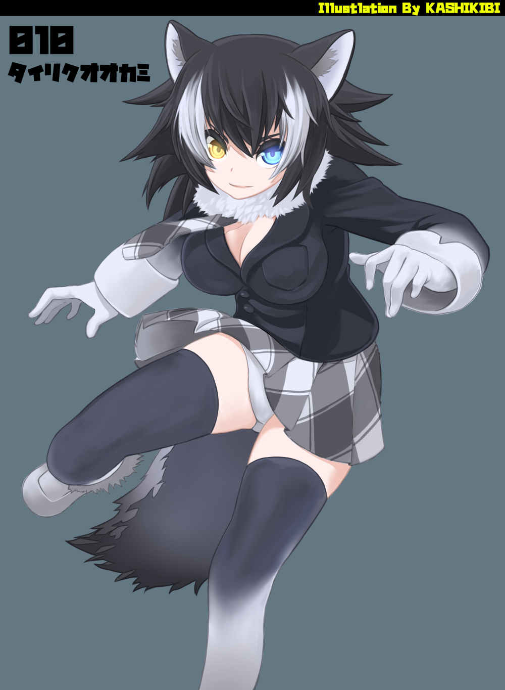 10s, 1girl, animal_ears, bad_id, bad_pixiv_id, black_hair, blue_eyes, breast_pocket, breasts, cleavage, female_focus, fur_collar, gloves, grey_wolf_(kemono_friends), heterochromia, highres, kemono_friends, kurosawa_(kurosawakyo), large_breasts, long_hair, long_sleeves, looking_at_viewer, multicolored_hair, necktie, panties, pantyshot, pleated_skirt, pocket, skirt, solo, tail, thighhighs, two-tone_hair, underwear, upskirt, white_panties, wolf_ears, wolf_tail, yellow_eyes