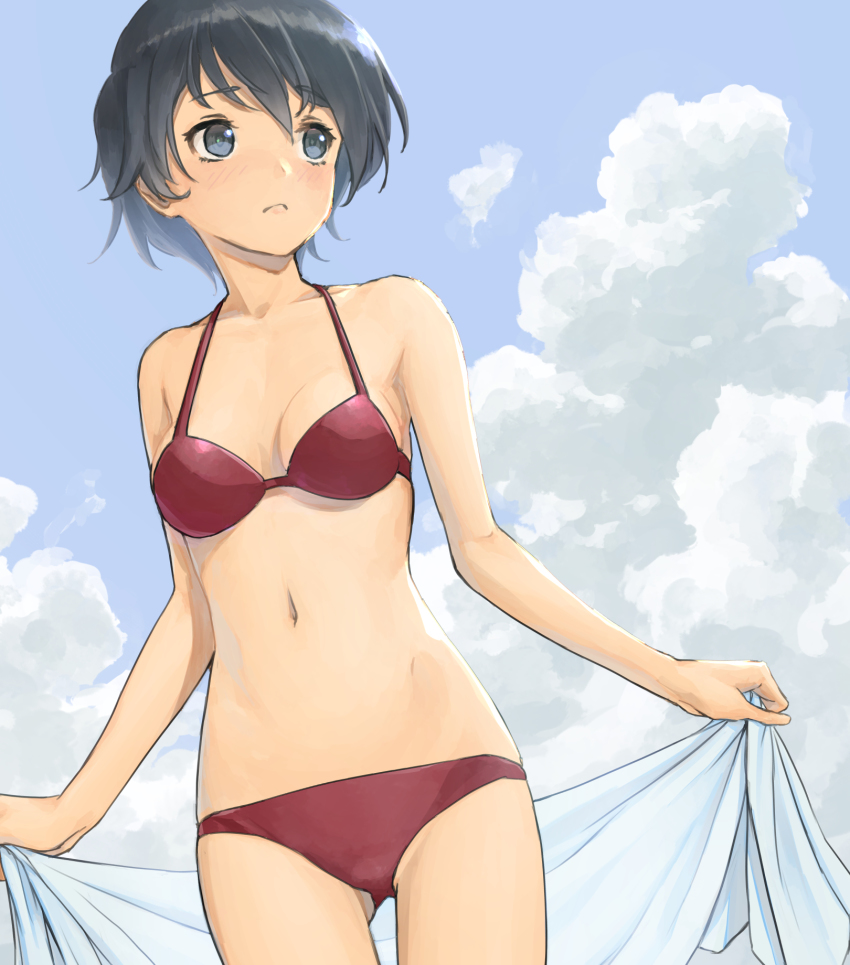 10s, 1girl, bikini, black_eyes, black_hair, breasts, brown_bikini, cloud