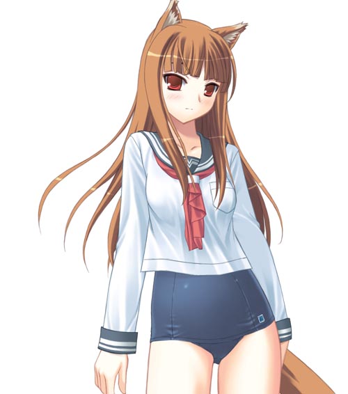 00s, animal_ears, brown_hair, holo, long_hair, no_pants, one-piece_swimsuit, red_eyes