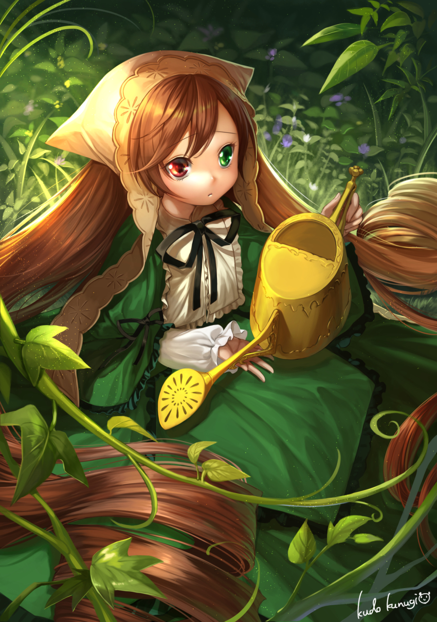 1girl, brown_hair, capelet, dress, drill_hair, grass, green_dress, green_eyes