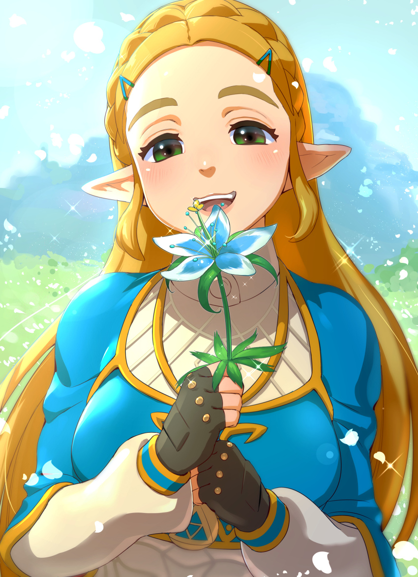 1girl, :d, bad_id, bad_pixiv_id, blonde_hair, blue_sky, blush, braid, colored_skin, crown_braid, day, eyebrows, female_focus, fingerless_gloves, gloves, grass, green_eyes, hair_ornament, hairclip, half-closed_eyes, highres, ikuchan_kaoru, looking_at_viewer, multicolored_skin, nintendo, open_mouth, outdoors, parted_bangs, pointy_ears, princess_zelda, silent_princess, sky, smile, solo, sparkle, teeth, the_legend_of_zelda, the_legend_of_zelda:_breath_of_the_wild, upper_body