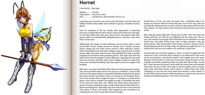 1girl, antennae, armor, arthropod_girl, bee_girl, blush, brown_hair, elbow_gloves, female_focus, full_body, gloves, grey_eyes, hard-translated, hornet_(monster_girl_encyclopedia), insect_girl, kenkou_cross, lance, monster_girl, monster_girl_encyclopedia, polearm, solo, third-party_edit, weapon, wings