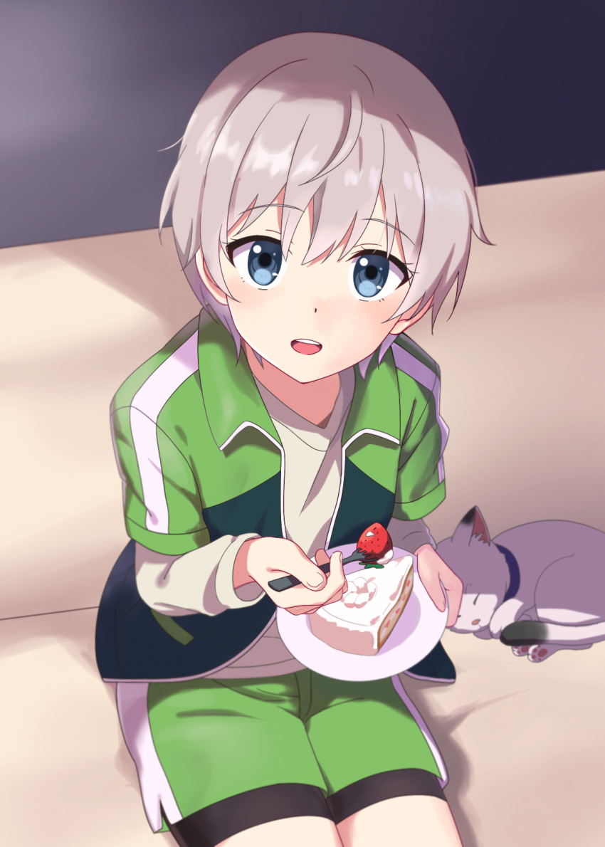 1boy, androgynous, blue_eyes, blush, cake, cat, food, fruit, highres, looking_at_viewer, male_focus, open_mouth, oriki_tomoko, silver_hair, smile, solo, strawberry, totsuka_saika, yahari_ore_no_seishun_lovecome_wa_machigatteiru.