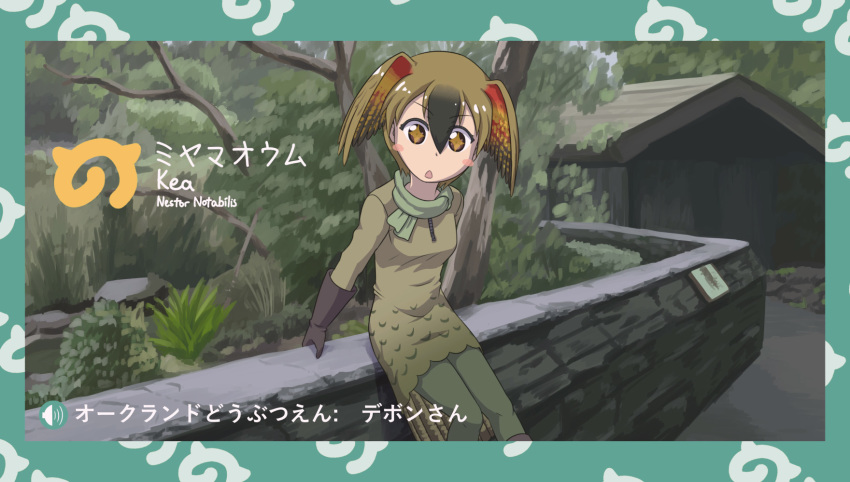 10s, black_hair, brown_eyes, character_name, feathered_wings, grass, green_hair, halcyon_(halcyon90), head_wings, highres, japari_symbol, kea_(bird), kemono_friends, leaf, multicolored_hair, open_mouth, original, scarf, scientific_name, sparkling_eyes, thighhighs, tree, two-tone_hair, wings