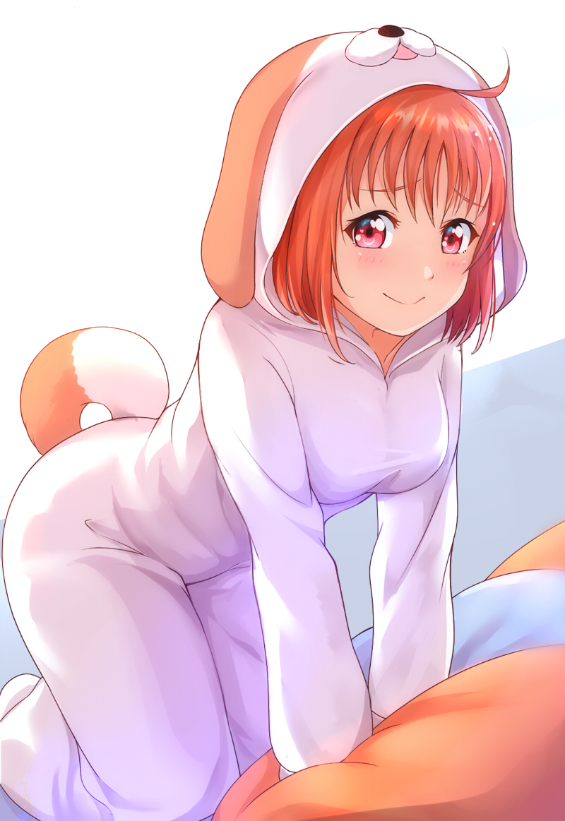 1girl, ahoge, all_fours, animal_costume, cosplay, dog_costume, female_focus, hood, kanabun, kigurumi, long_sleeves, looking_at_viewer, love_live!, love_live!_school_idol_festival, love_live!_sunshine!!, orange_hair, pajamas, red_eyes, shiitake_(love_live!), shiitake_(love_live!_sunshine!!)_(cosplay), smile, solo, tail, takami_chika