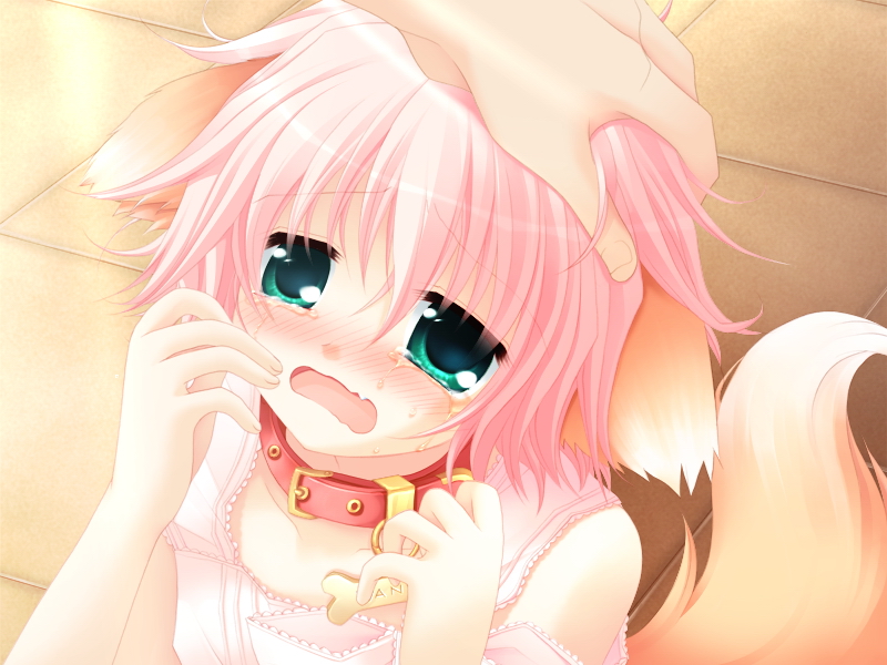 1girl, animal_collar, animal_ears, bare_shoulders, blush, character_name, child, collar, crying, dog_ears, dog_girl, dog_tail, fang, game_cg, green_eyes, hand_on_another's_head, head_pat, headpat, nameplate, open_mouth, pet, petting, pink_hair, sakurazawa_izumi, solo_focus, tail, tears, wanko, wanko_(wanko_to_lily), wanko_to_lily