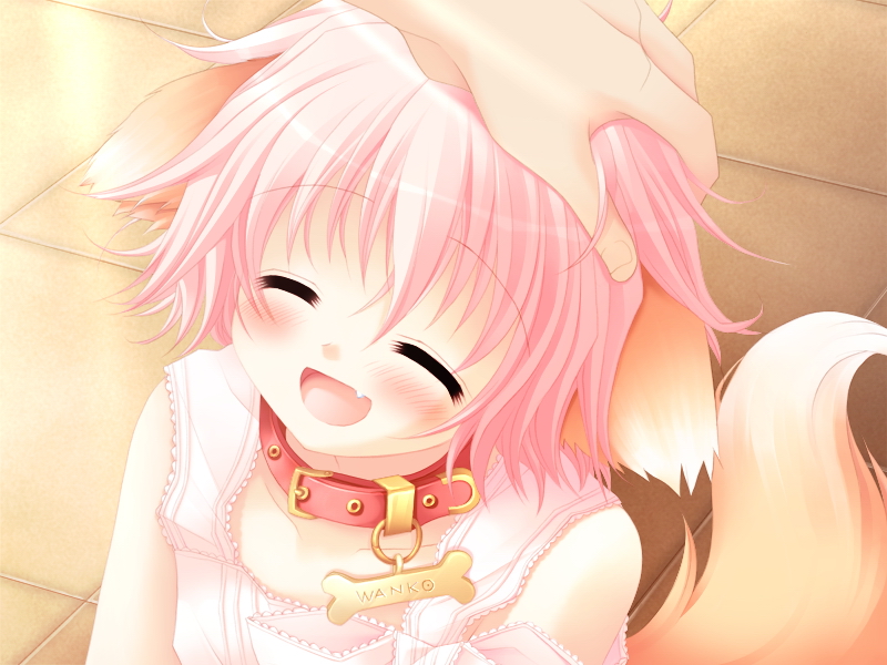 1girl, animal_collar, animal_ears, blush, character_name, child, close-up, closed_eyes, collar, dog_ears, dog_girl, dog_tail, fang, game_cg, goshujinsama, hand_on_another's_head, happy, head_pat, headpat, nameplate, pet, petting, petto, pink_hair, sakurazawa_izumi, short_hair, smile, solo_focus, tail, wanko, wanko_(wanko_to_lily), wanko_to_lily