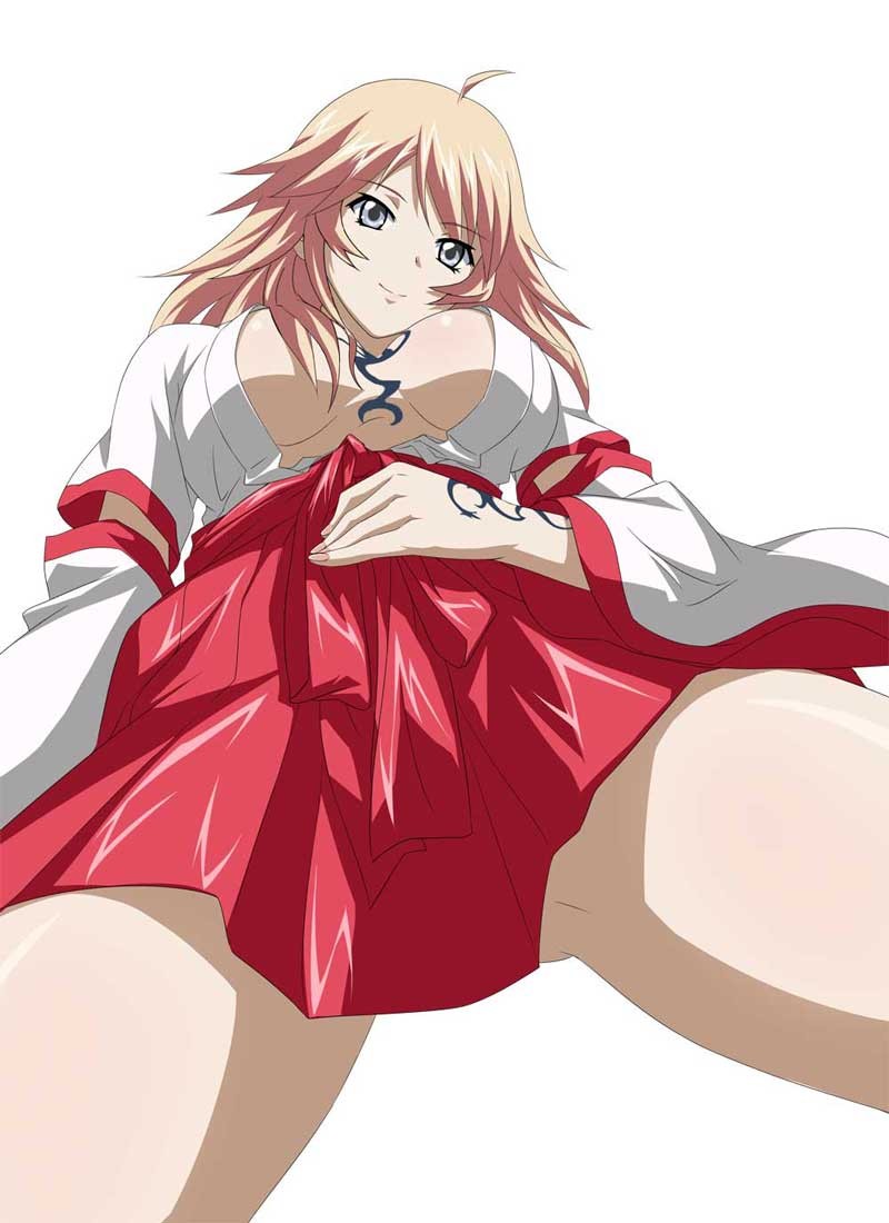 ikkitousen, shibai_chuutatsu, tagme