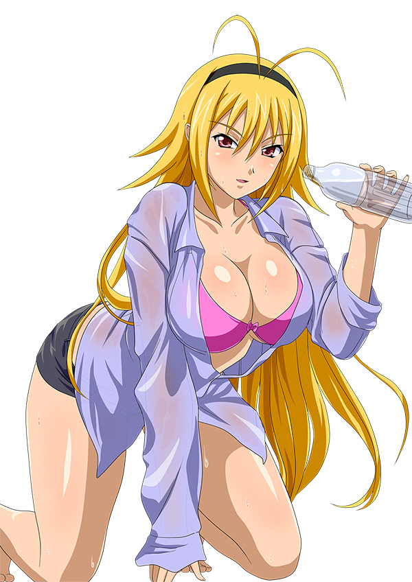 1girl, blonde_hair, bra, breasts, brown_eyes, chousen_(ikkitousen), cleavage, female_focus
