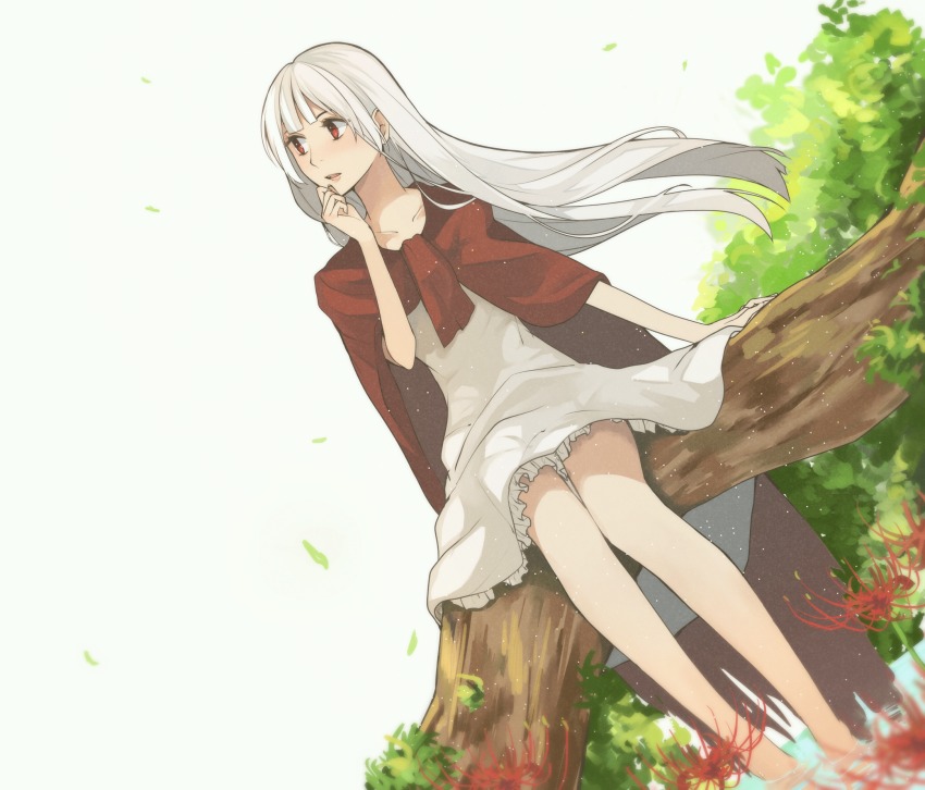 1girl, albino, barefoot, cape, dress, elysion, female_focus, flower