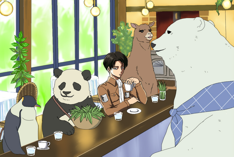 bear, bird, black_hair, bowl, choko_(20040421), cup, glass, kamiya_hiroshi, levi_(shingeki_no_kyojin), llama_(shirokuma_cafe), panda, panda_(shirokuma_cafe), penguin, penguin_(shirokuma_cafe), polar_bear, scarf, shingeki_no_kyojin, shirokuma_(shirokuma_cafe), shirokuma_cafe, short_hair, teacup, voice_actor_connection