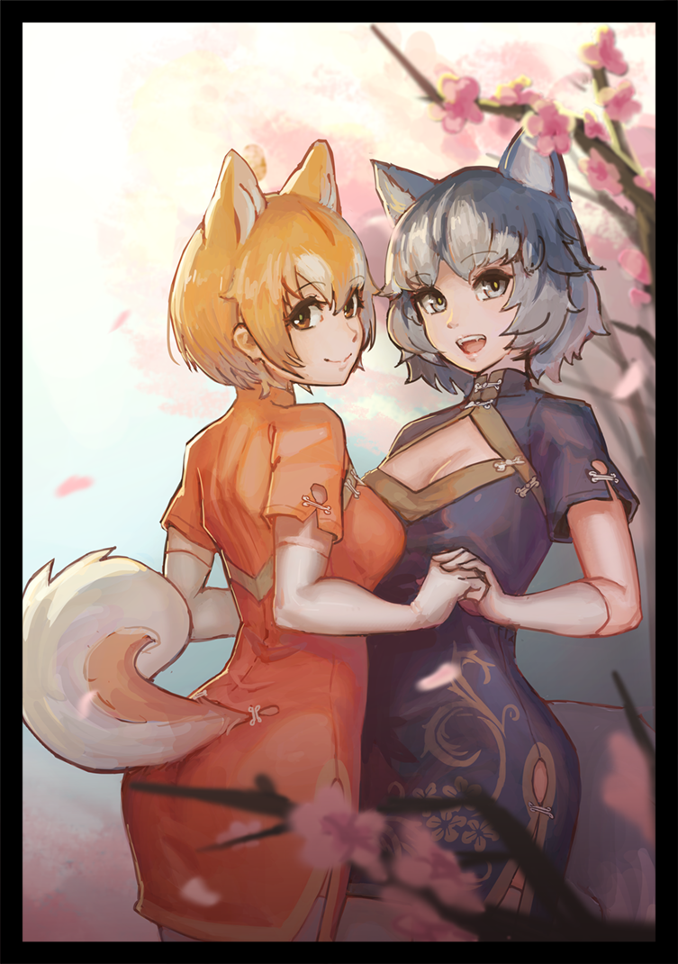 10s, 2girls, alternate_costume, animal_ears, black_border, blonde_hair, blue_hair, border, cherry_blossoms, china_dress, chinese_clothes, closed_mouth, commentary_request, dog_(shiba_inu)_(kemono_friends), dog_ears, dog_tail, dress, elbow_gloves, fangs, gloves, holding_hands, kemono_friends, looking_at_viewer, lumian, multicolored_hair, multiple_girls, open_mouth, short_hair, short_sleeves, siberian_husky_(kemono_friends), smile, tail, white_hair