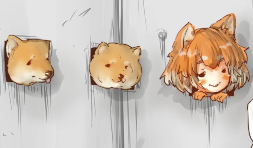 10s, 1girl, :3, animal_ears, character_request, check_character, check_copyright, copyright_request, creature_and_personification, dog, dog_(shiba_inu)_(kemono_friends), dog_ears, elbow_gloves, female_focus, gloves, head_through_wall, kemono_friends, light_brown_hair, motocompoooo, multicolored_hair, personification, short_hair, solo, white_hair