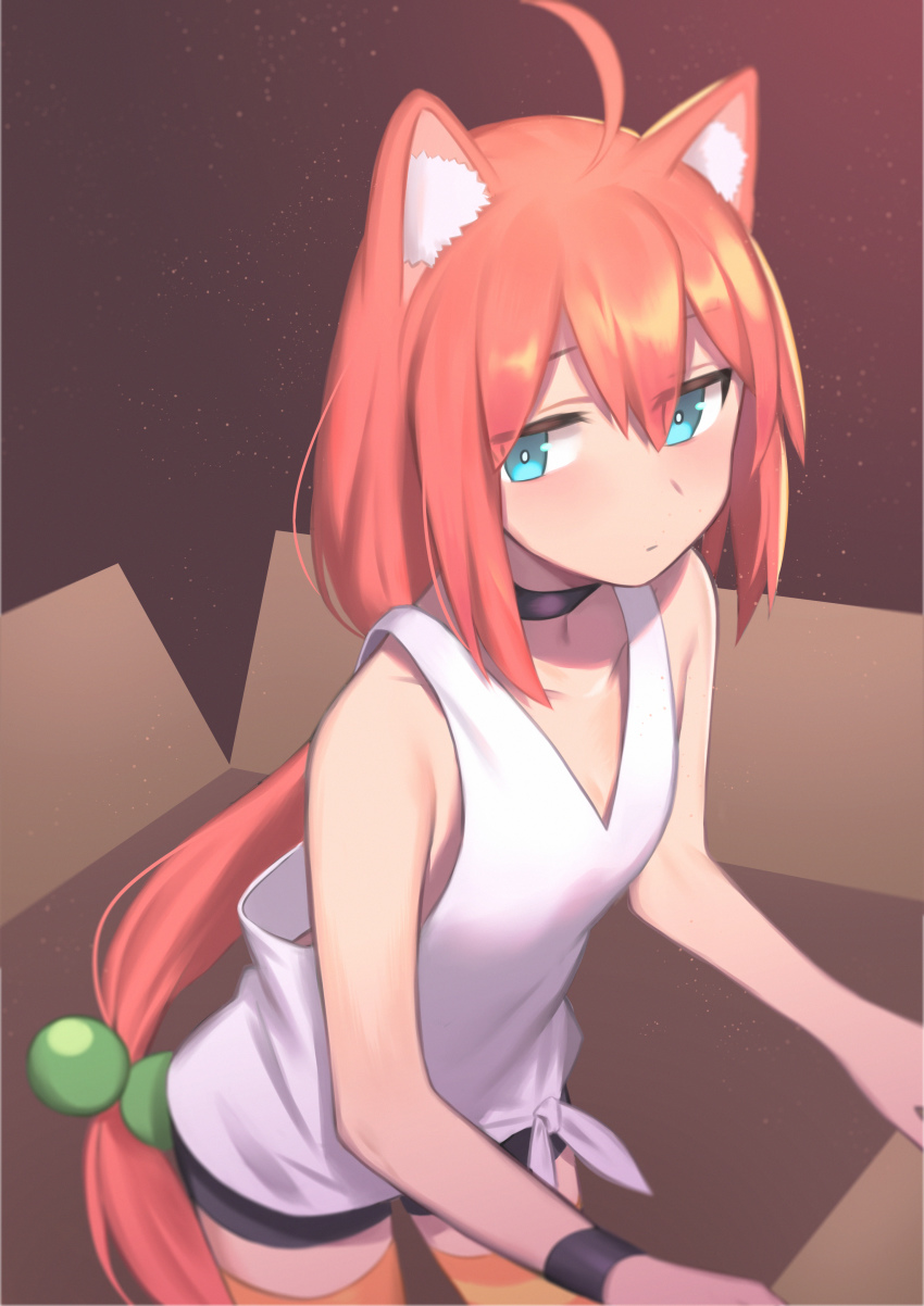 1girl, absurdres, ahoge, animal_ear_fluff, animal_ears, asymmetrical_legwear, bike_shorts, blue_eyes