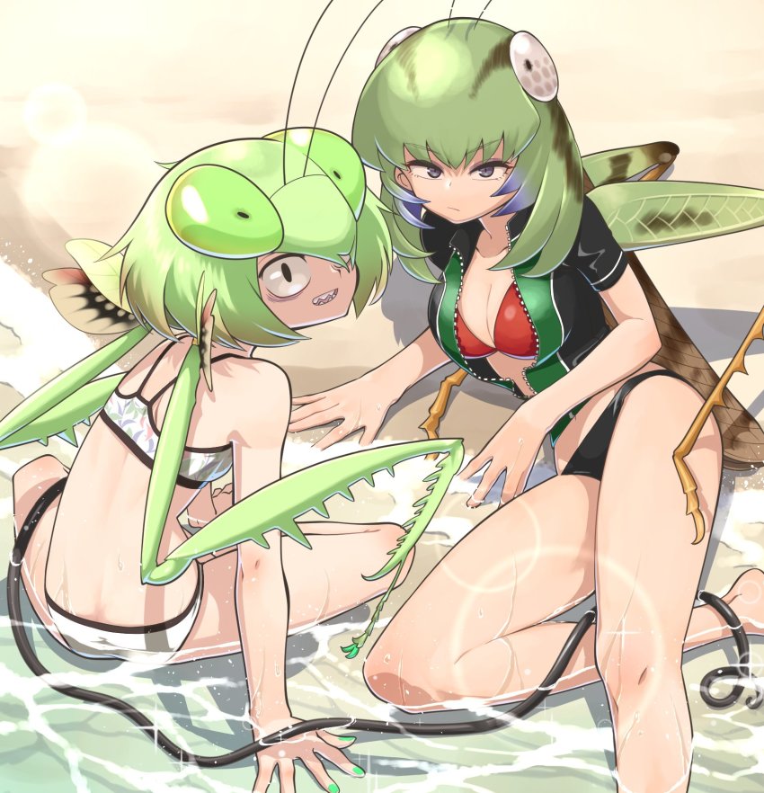 2girls, :/, antennae, arthropod_girl, bags_under_eyes, beach, bikini, black_bikini