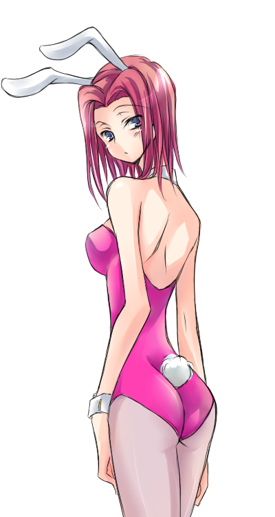 00s, animal_ears, ass, blue_eyes, code_geass, fake_animal_ears, kouzuki_kallen, pantyhose