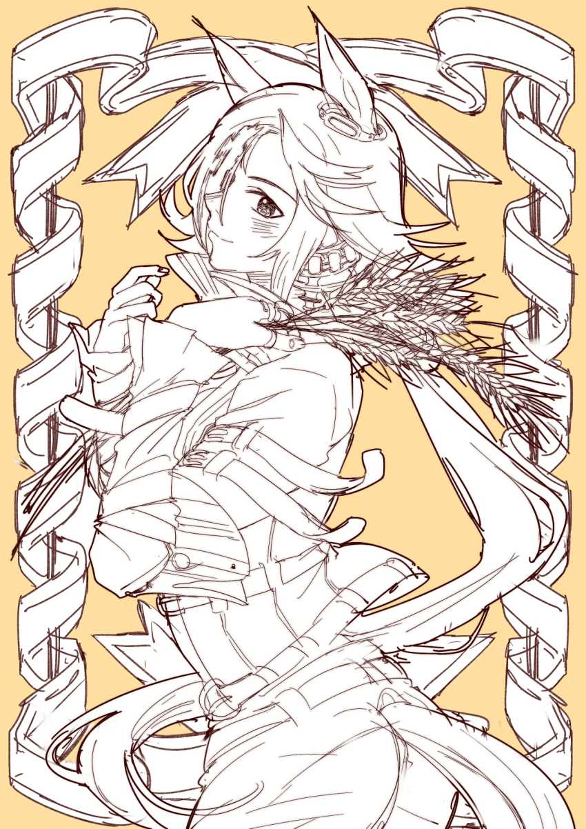 1girl, animal_ears, female_focus, hair_over_one_eye, highres, horse_ears, horse_girl, horse_tail