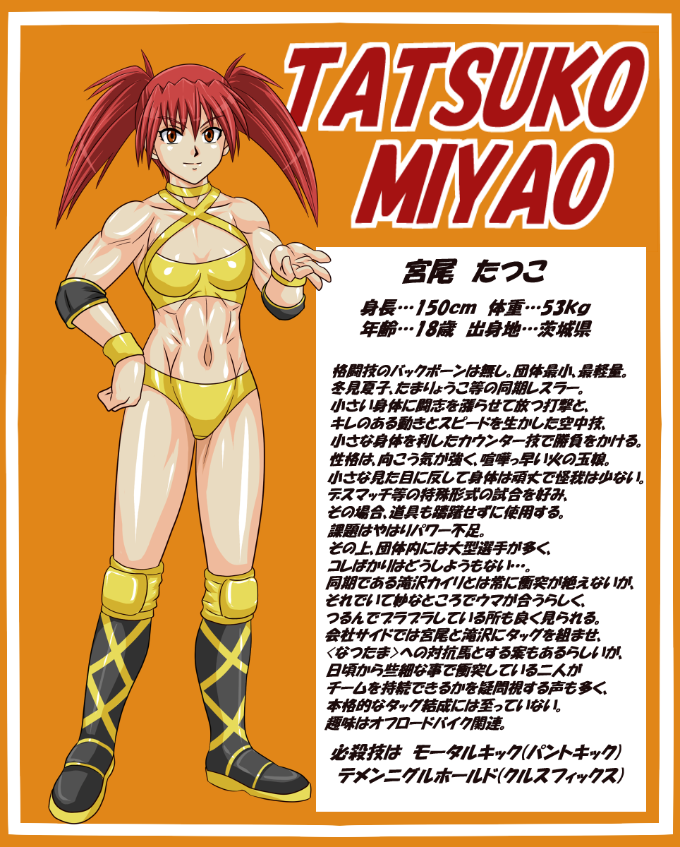 1girl, female_focus, highres, miyao_tatsuko, muscular, original, red_eyes, red_hair