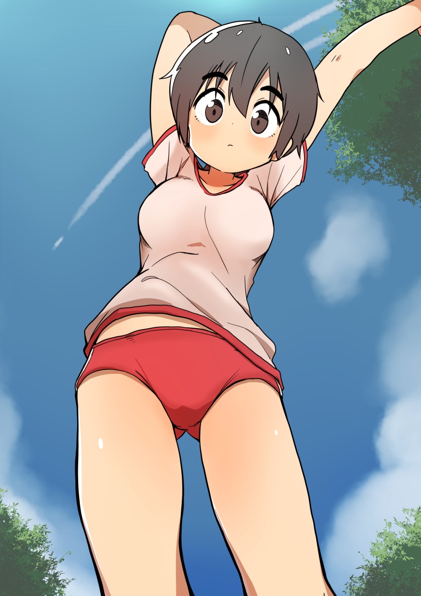 1girl, absurdres, blush, brown_eyes, brown_hair, bural_chingu, buruma, eyebrows