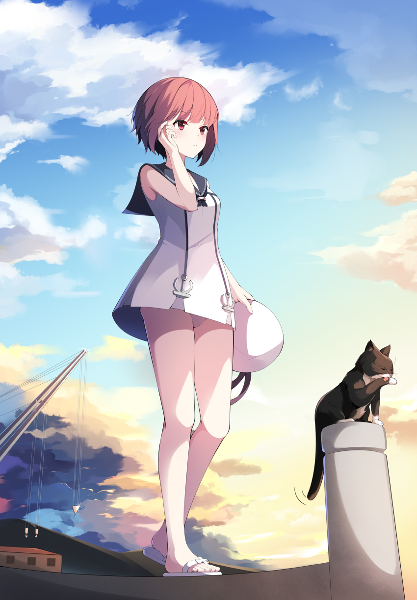 1girl, alternate_costume, brown_eyes, brown_hair, cat, day, dress, female_focus