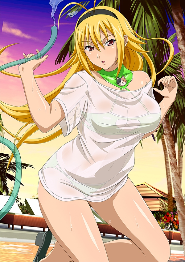 chousen_(ikkitousen), ikkitousen