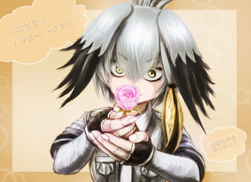 10s, 1girl, black_gloves, black_hair, breast_pocket, closed_mouth, collared_shirt, commentary_request, female_focus, fingerless_gloves, flower, gloves, grey_hair, grey_necktie, grey_shirt, hair_between_eyes, hands_up, highres, holding, holding_flower, kemono_friends, layered_sleeves, long_hair, long_sleeves, looking_at_viewer, low_ponytail, multicolored_hair, necktie, orange_hair, own_hands_together, pink_flower, pink_rose, pocket, ponytail, rose, shirt, shoebill_(kemono_friends), short_over_long_sleeves, short_sleeves, side_ponytail, smile, solo, stealstitaniums, translation_request, upper_body, yellow_eyes