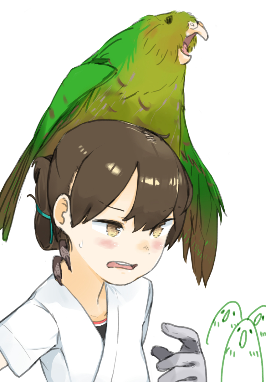 1girl, absurdres, animal, animal_on_head, bird, bird_on_head, blue_ribbon, brown_eyes, brown_hair, co_botan, commentary_request, folded_ponytail, gloves, hair_ribbon, highres, kakapo, kantai_collection, kasuga_maru_(kancolle), long_hair, on_head, parrot, ribbon, simple_background, single_glove, swept_bangs, upper_body, white_background