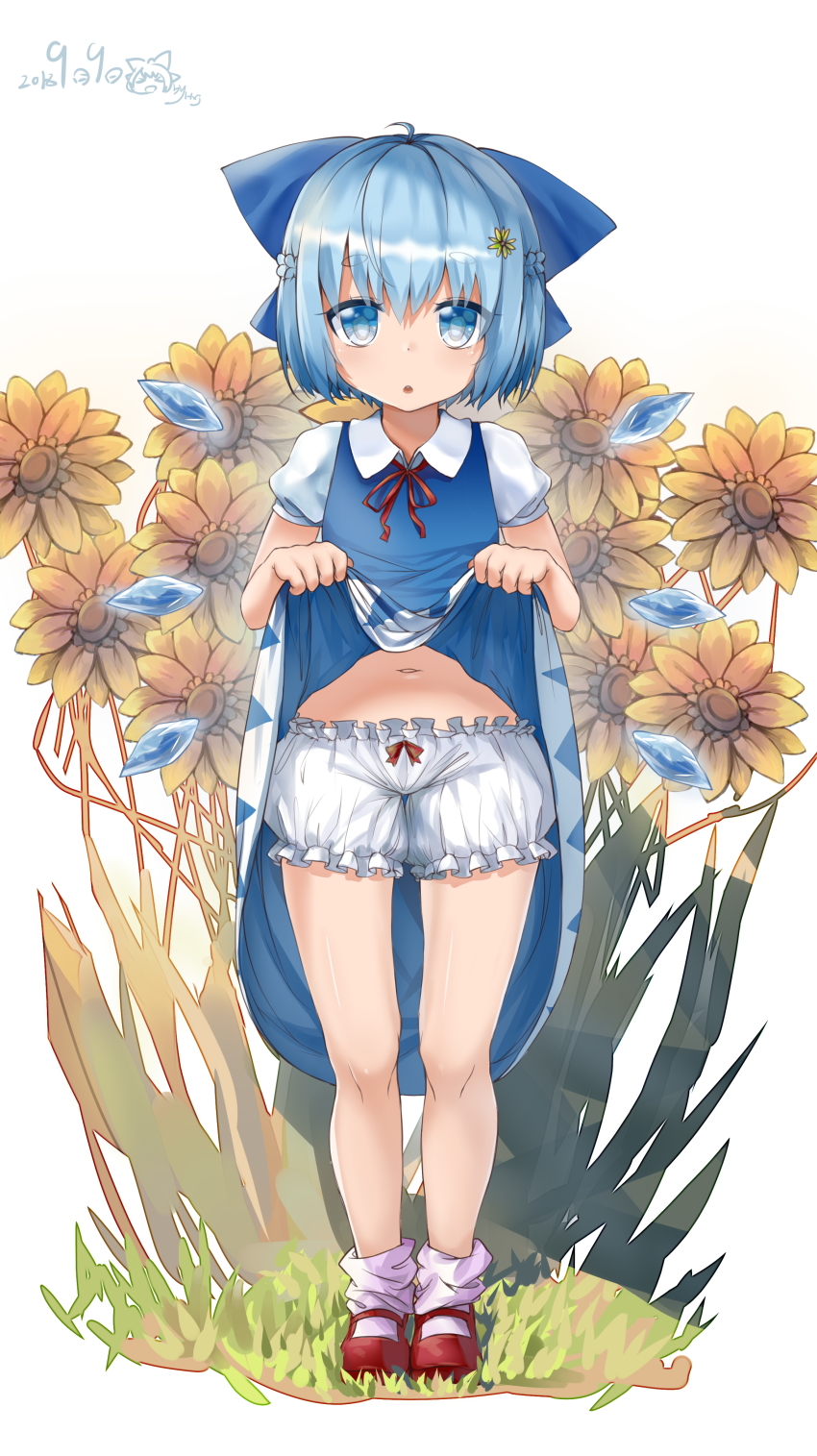 1girl, :o, absurdres, ahoge, alternate_hairstyle, bad_id, bad_pixiv_id, bare_legs, bloomers, blue_bow, blue_dress, blue_eyes, blue_hair, blue_wings, bow, braid, cirno, clothes_lift, collared_shirt, dress, dress_lift, female_focus, flower, full_body, grass, hair_between_eyes, hair_bow, hair_flower, hair_ornament, highres, hxj_(2324184595), ice, ice_wings, lifting_own_clothes, looking_at_viewer, mary_janes, navel, neck_ribbon, puffy_short_sleeves, puffy_sleeves, red_ribbon, red_shoes, ribbon, shirt, shoes, short_eyebrows, short_hair, short_sleeves, simple_background, socks, solo, standing, sunflower, thick_eyebrows, touhou, underwear, white_background, white_bloomers, white_shirt, white_socks, wing_collar, wings