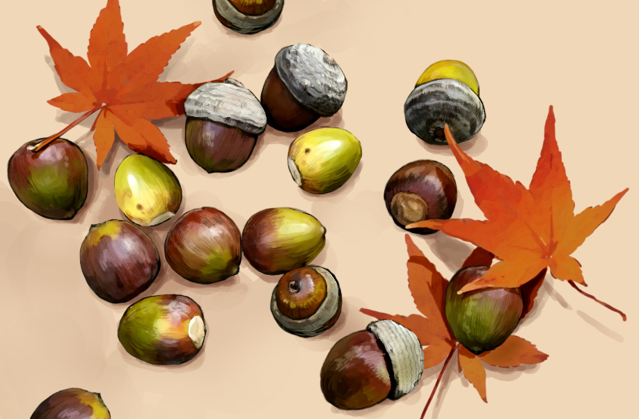 acorn, aiai_(hidetti), autumn_leaves, bad_id, bad_pixiv_id, food, food_focus, leaf