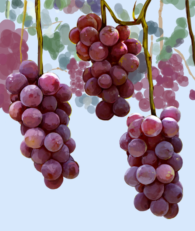 aiai_(hidetti), bad_id, bad_pixiv_id, blue_background, food, food_focus, fruit, grapes