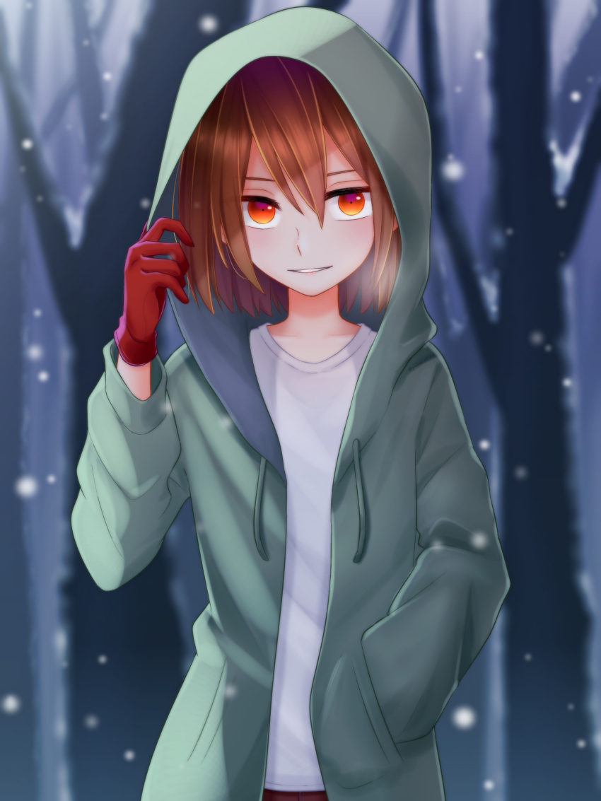 1other, alternate_universe, artist_request, brown_hair, chara_(undertale), commentary_request, gloves, green_hoodie