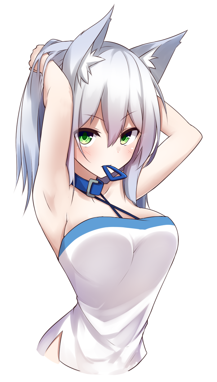1girl, animal_ear_fluff, animal_ears, arched_back, arm_behind_head, armpits, arms_up, bare_arms, bare_shoulders, blue_collar, breasts, camisole, collar, collarbone, criss-cross_halter, female_focus, hair_between_eyes, hair_ornament, hairclip, halterneck, hands_in_own_hair, highres, long_hair, mouth_hold, original, shirogane_kasane, silver_hair, simple_background, small_breasts, solo, surume_aburi, unworn_hair_ornament, unworn_hairclip, white_background, white_camisole