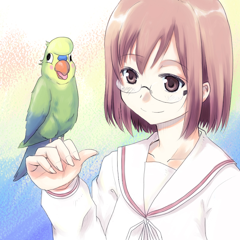 00s, 1girl, brown_eyes, brown_hair, female_focus, glasses, gotou_saori, inko_(toradora)