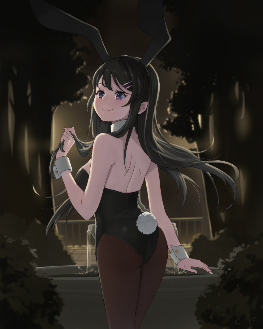 1girl, absurdres, animal_ears, ass, back, bag, black_hair, blue_eyes