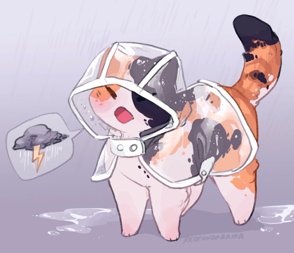 animal_focus, artist_name, calico_(pattern), cat, commentary, diamond_mouth, english_commentary, grey_background, hood, hood_up, meme, no_humans, open_mouth, puddle, rain, raincoat, real_life, redpandarama, see-through_clothes, see-through_raincoat, simple_background, speech_bubble, spoken_object, storm_cloud