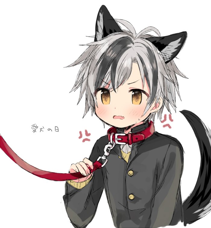 1boy, anger_vein, animal_ears, bad_id, bad_twitter_id, black_hair, blush, collar, dog_ears, dog_tail, fang, gakuran, grey_hair, leash, looking_at_viewer, male_focus, masironot, multicolored_hair, nijisanji, school_uniform, simple_background, skin_fang, solo, suzuki_masaru, suzuki_masaru_(school_uniform), tail, v-shaped_eyebrows, viewer_holding_leash, virtual_youtuber, white_background, yellow_eyes
