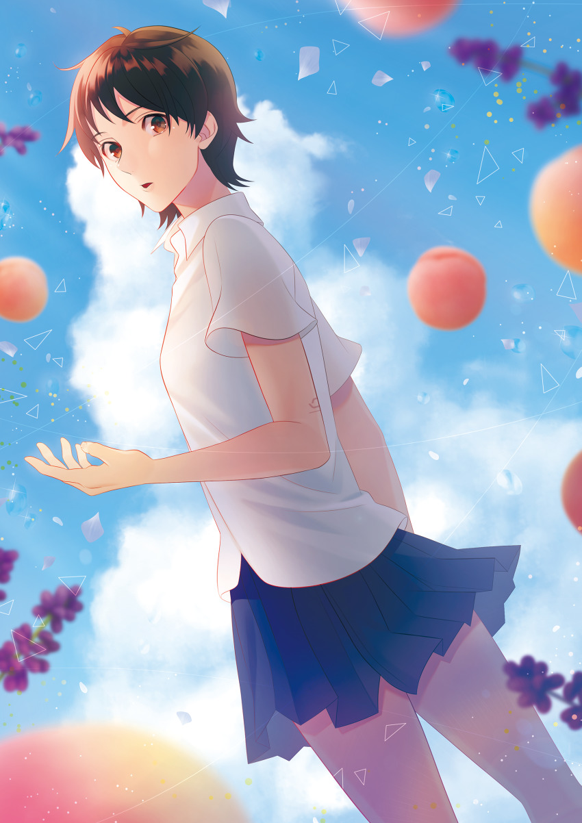 1girl, absurdres, arm_at_side, blue_skirt, blue_sky, blurry, blurry_background, brown_eyes, brown_hair, cloud, day, female_focus, flower, highres, konno_makoto, looking_at_viewer, school_uniform, shirt, short_hair, short_sleeves, skirt, sky, solo, standing, tisshu, toki_wo_kakeru_shoujo