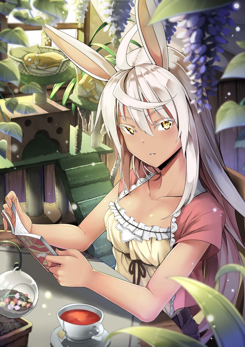 1girl, absurdres, ahoge, animal_ears, belt, blurry, blurry_foreground, book