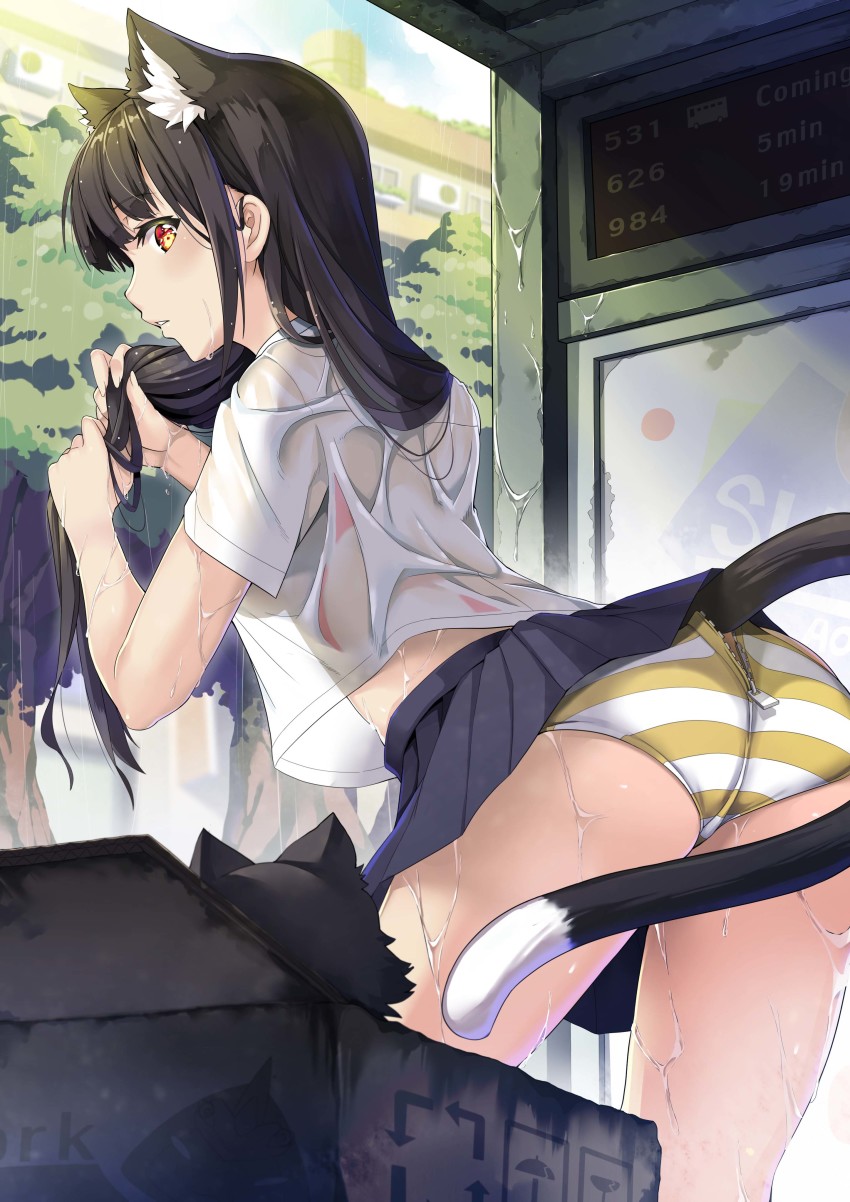 1girl, absurdres, animal, animal_ear_fluff, animal_ears, ass, black_cat, black_hair